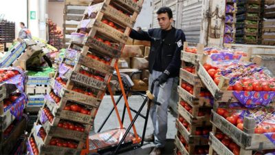 Bosna-Hersek, yaş meyve-sebze talebinde bulundu