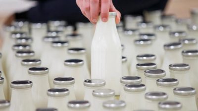 2016’nın süt ve süt ürünleri üretim verileri açıklandı